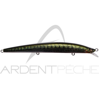 Pesciolino MEGABASS Cookai slim 120 SF