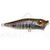 Galleggiante MEGABASS Pop X