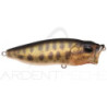 Poisson nageur MEGABASS Pop max