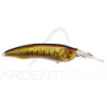 Pesce nuotatore MEGABASS Live X model 1