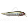 Crankbait MEGABASS Lates feedingwoofer