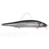 Minnow MEGABASS X80 Magnum SR