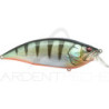 Pesce nageur MEGABASS Big M 2.0