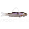 Soft bait MEGABASS Mag draft ayu twitcher