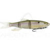 Soft bait MEGABASS Mag draft hasu raver