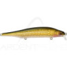 Pesciolino artificiale MEGABASS ITO Shiner SSR