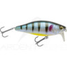 Megabass I-Jack, una calamita per lucci e black bass - Ardent tecniche di pesca
