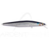 Poisson nageur MEGABASS Marine gang cookai 120 F