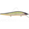 MEGABASS Vision 110 FW