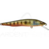 Pesciolino artificiale MEGABASS Vision 95