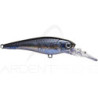 LUCKY CRAFT Bevy shad 60 SP crankbait