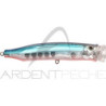 Pescatore TACKLE HOUSE Feed Popper 135