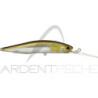 Hard bait DUO Realis Jerkbait 100 DR