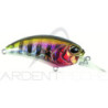 Pesciolino DUO Realis crank M62 5A