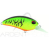 Pesciolino DUO Realis crank M62 5A