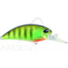 Pesciolino DUO Realis crank 65 11A