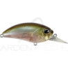 Pesciolino DUO Realis crank M62 5A