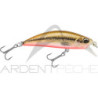 Minnow DUO Spearhead Ryuki 50 S