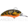 Pesciolino DUO Realis crank M62 5A