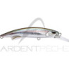 Pesce nageur DUO Rough Trail Blazin 110