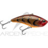 Poisson nageur DUO Realis apex vibe 100