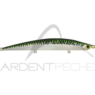 Hard Lure DUO Tide Minnow 120 Slim