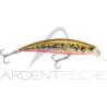Pesce nageur DUO Spearhead ryuki 70 S