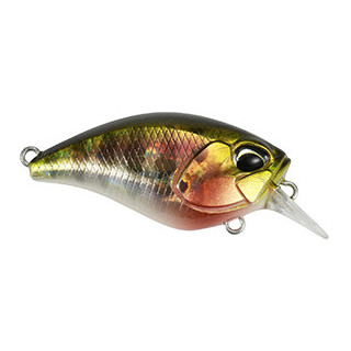 Hard lure DUO Crank mid roller 40F