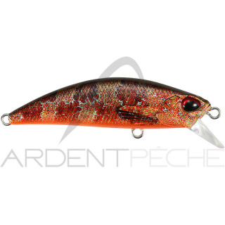 Pesce nuotatore DUO Spearhead ryuki 60 S