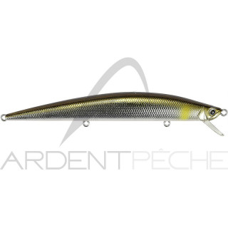 Hard Lure DUO Tide Minnow 120 Slim