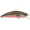 Pesce artificiale DUO Spearhead Ryuki 50 F