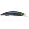 Poisson nageur DUO Rough trail blazin 110