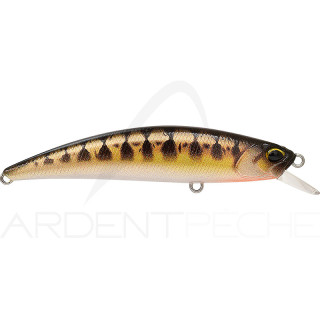 Pesce nuotatore DUO Spearhead Ryuki 70 F