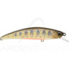 Crankbait DUO Spearhead Ryuki 70 F