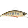 Pesce artificiale DUO Spearhead Ryuki 50 F