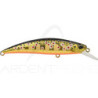 Pesce nageur DUO Spearhead ryuki 70 S