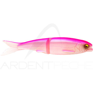 Soft lure RAID JAPAN Osakana slide 170