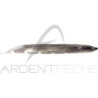 FISH ARROW Flash J Shirasu 3 soft lure