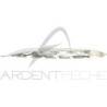 Soft bait FISH ARROW Flash J Shirasu 3