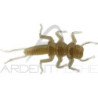 Soft bait NIKKO Dappy stonefly