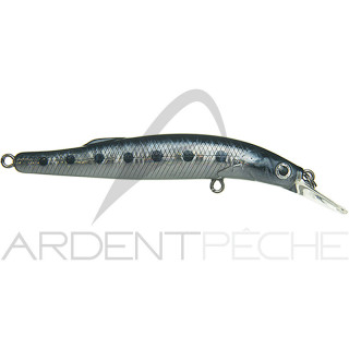 Pesciolino XORUS Joker 80