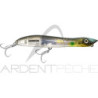 Pesce nageur XORUS Patchinko 165
