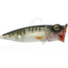 Surface lure STRIKE PRO Perch pop
