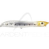 Pesce nageur XORUS Patchinko 100