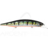 Pesce nuotatore DUO Realis Jerkbait 120 SP Pike LTD