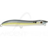 Pesce nageur XORUS Patchinko 165