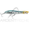 Pesce nageur XORUS Patchinko 100