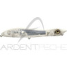 Pesce nuotatore XORUS Patchinko2