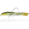 Pesce nuotatore XORUS Patchinko2