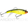 Ghost Buster di CWC - un jerkbait atipico - Ardent Tecniche di pesca